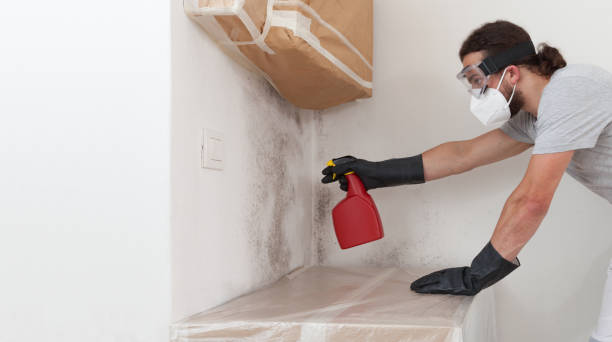 Professional Mold Removal technician working in Rockville Centre, NY